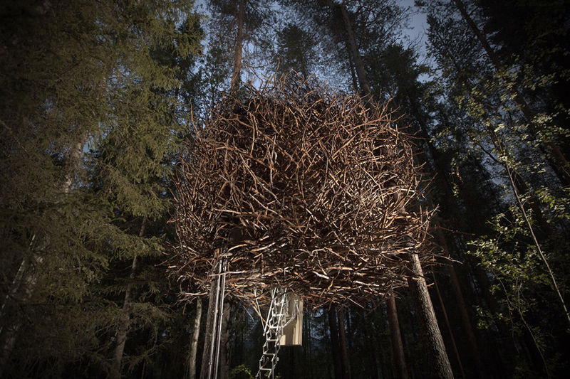 Illustration for article titled These Are The Most Amazing Tree Houses Ever